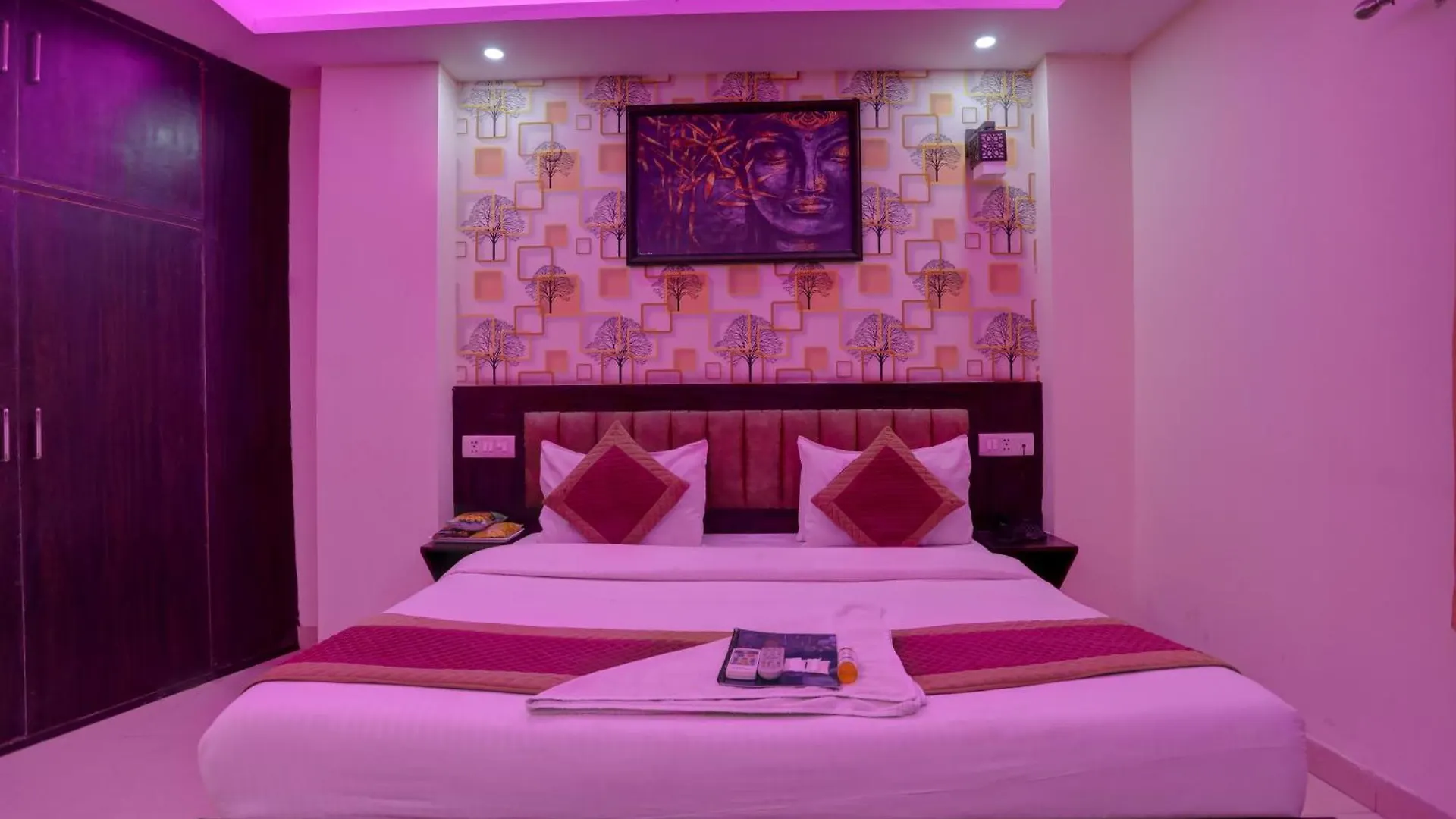 Hotel New Punjab Luxury 新德里 4*,  印度
